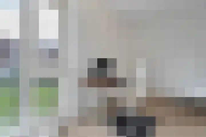 Puntkroos 56 Zwolle thumbnail 12