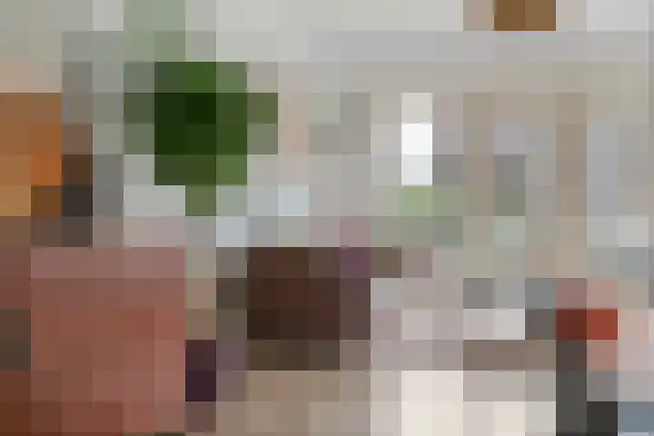 Puntkroos 56 Zwolle thumbnail 13