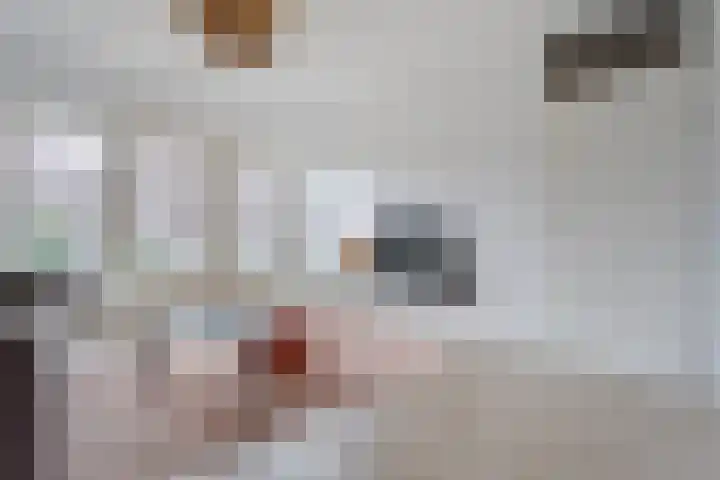 Puntkroos 56 Zwolle thumbnail 17