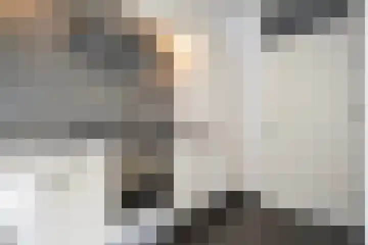 Puntkroos 56 Zwolle thumbnail 22