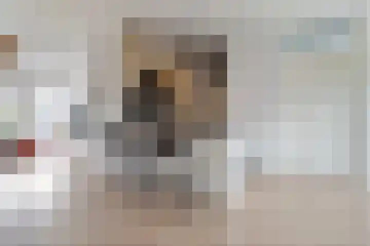 Puntkroos 56 Zwolle thumbnail 26