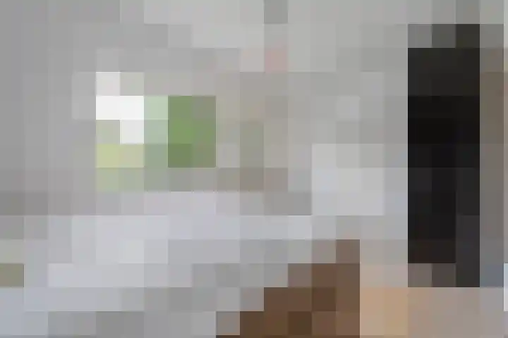 Puntkroos 56 Zwolle thumbnail 29