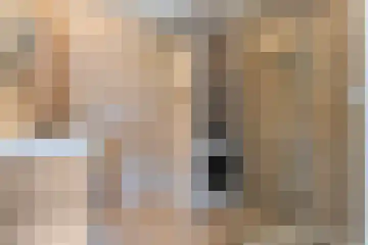 Puntkroos 56 Zwolle thumbnail 30
