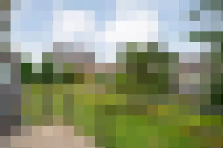 Puntkroos 56 Zwolle thumbnail 32