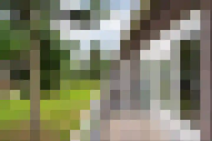 Puntkroos 56 Zwolle thumbnail 33