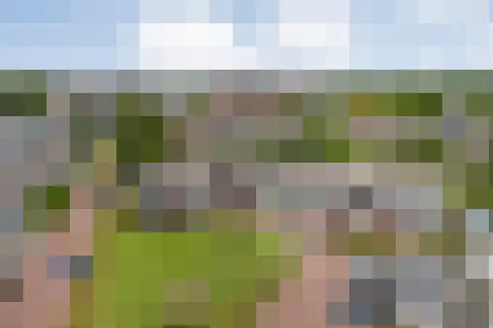 Puntkroos 56 Zwolle thumbnail 37