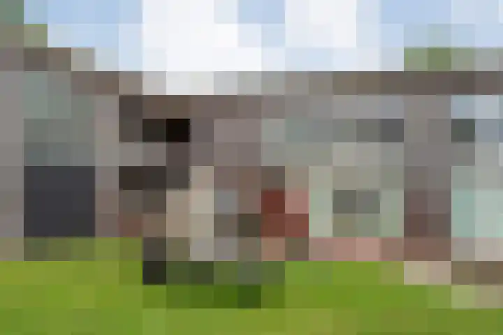 Puntkroos 56 Zwolle thumbnail 5