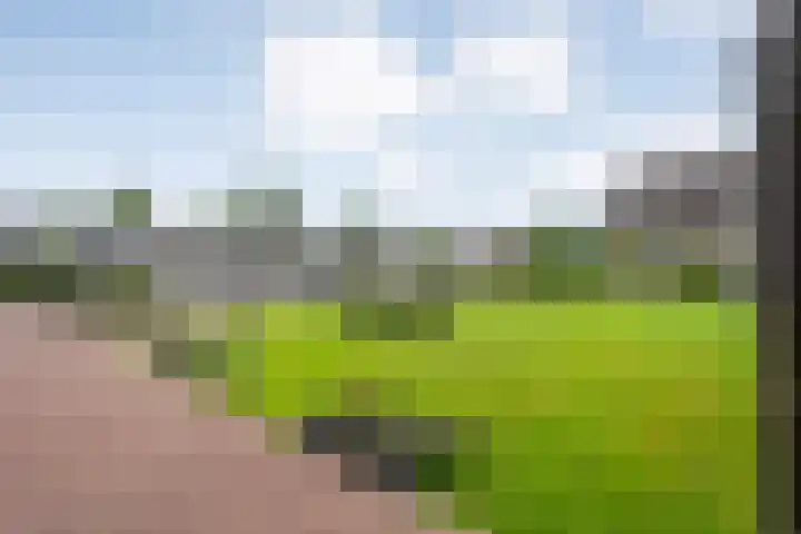 Puntkroos 56 Zwolle thumbnail 6