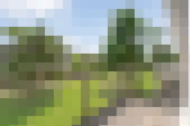 Puntkroos 58 Zwolle thumbnail 16