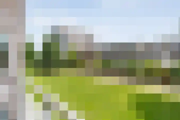 Puntkroos 58 Zwolle thumbnail 18