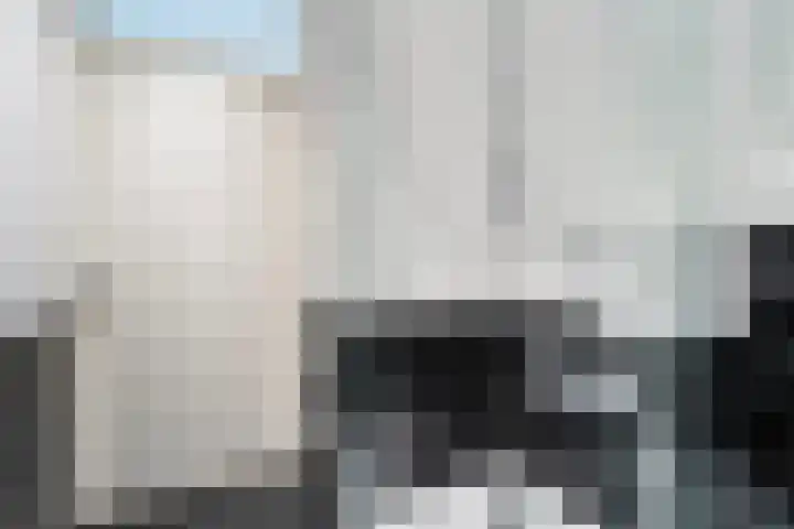 Puntkroos 58 Zwolle thumbnail 34