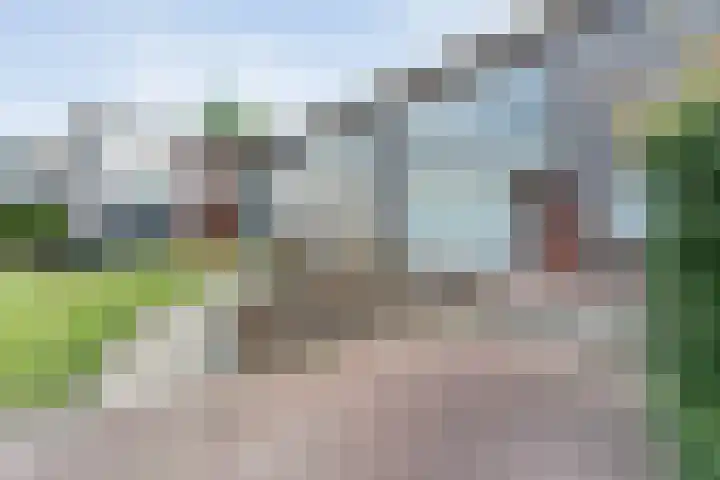 Puntkroos 58 Zwolle thumbnail 8