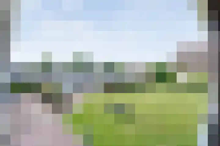 Puntkroos 58 Zwolle thumbnail 9