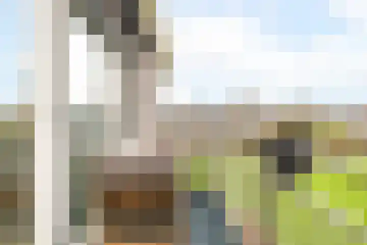Puntkroos 60 Zwolle thumbnail 18