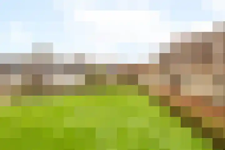 Puntkroos 60 Zwolle thumbnail 19