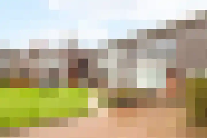 Puntkroos 60 Zwolle thumbnail 25