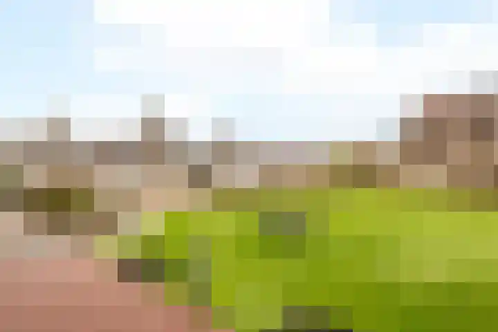 Puntkroos 60 Zwolle thumbnail 26