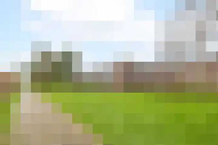 Puntkroos 60 Zwolle thumbnail 27