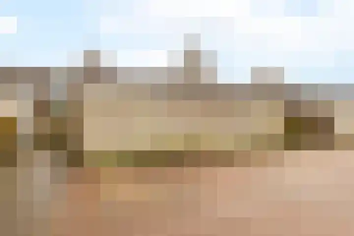 Puntkroos 60 Zwolle thumbnail 28