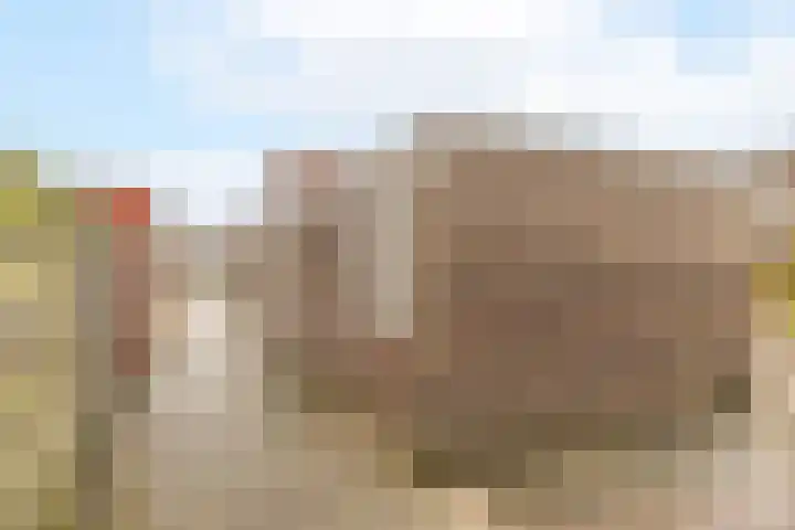 Puntkroos 60 Zwolle thumbnail 29