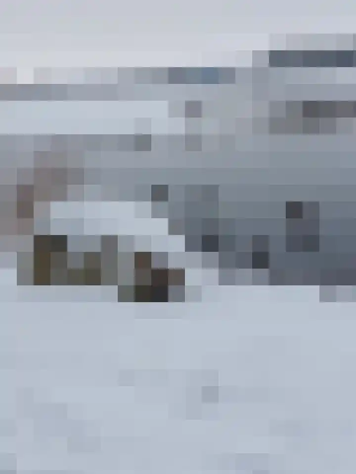 Puntkroos 60 Zwolle thumbnail 32