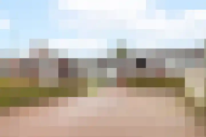 Puntkroos 60 Zwolle thumbnail 4