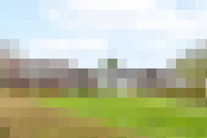 Puntkroos 60 Zwolle thumbnail 5