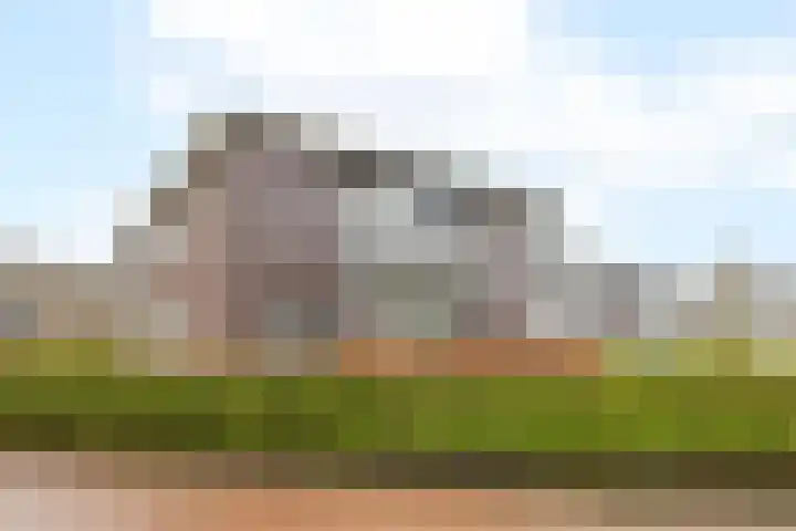 Puntkroos 60 Zwolle thumbnail 6