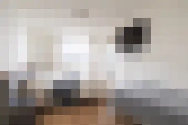 Puntkroos 73 Zwolle thumbnail 15