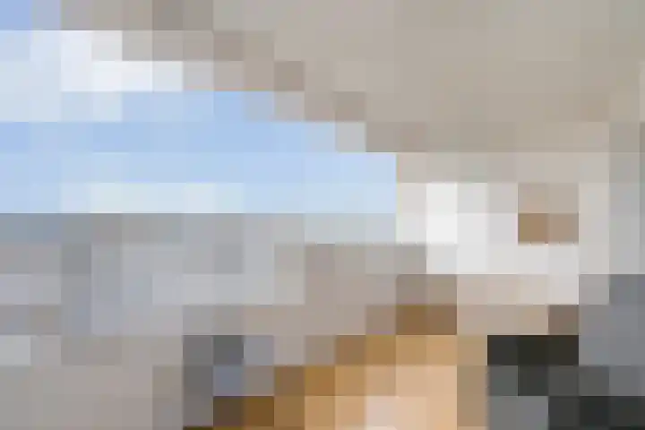 Puntkroos 75 Zwolle thumbnail 36