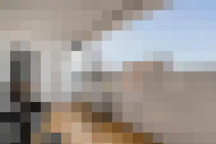 Puntkroos 75 Zwolle thumbnail 38