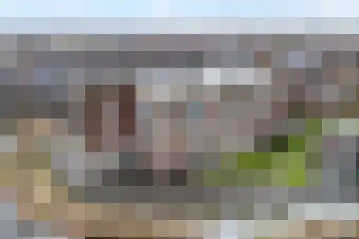 Puntkroos 75 Zwolle thumbnail 6