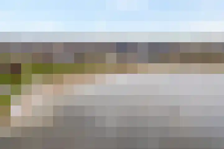 Puntkroos 75 Zwolle thumbnail 7