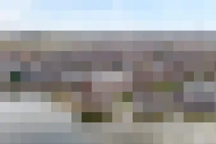 Puntkroos 75 Zwolle thumbnail 8