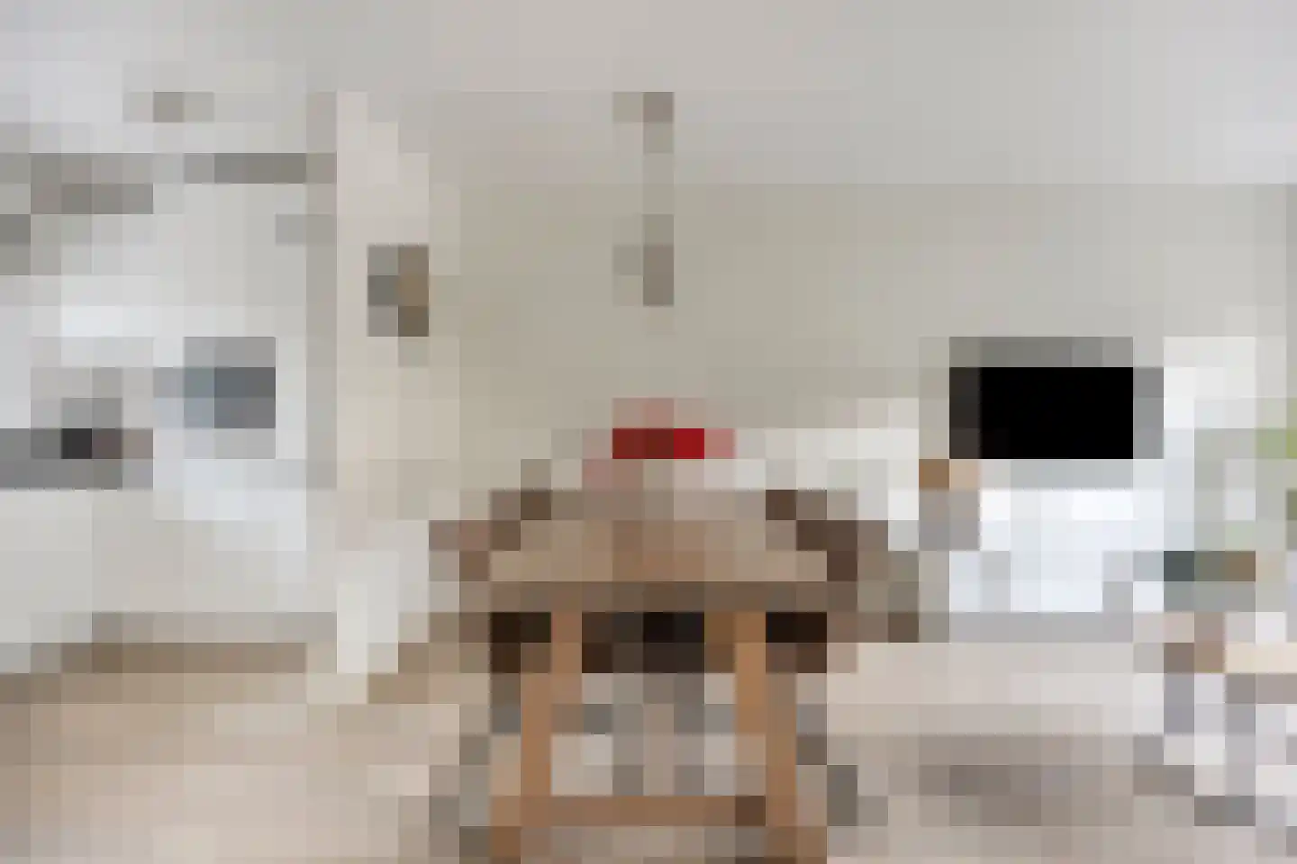 Puntmosstraat 69 Purmerend thumbnail 10