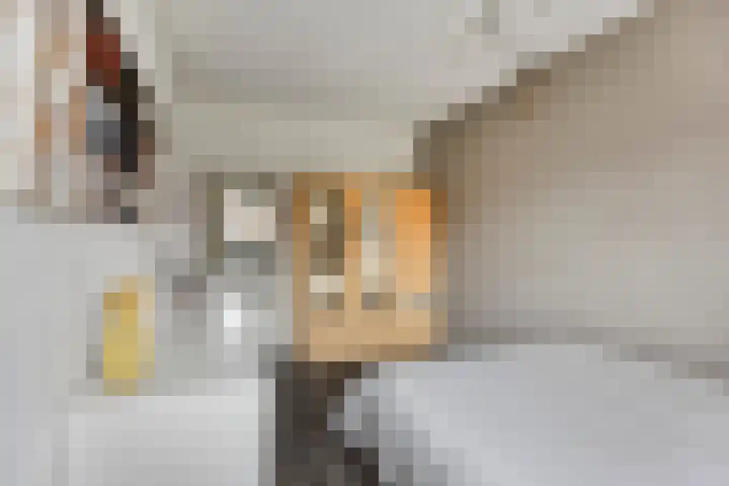 Puntmosstraat 69 Purmerend thumbnail 14
