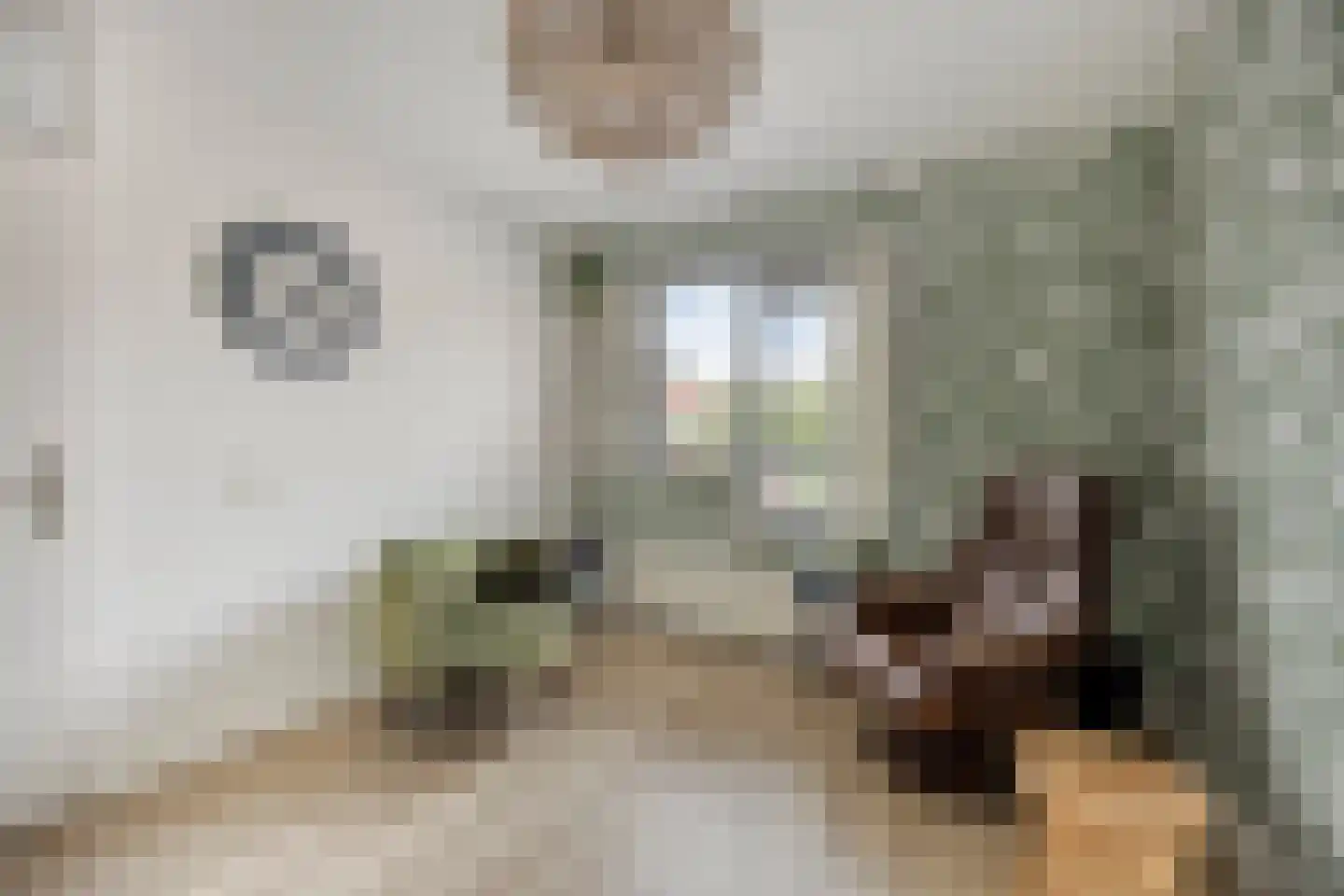 Puntmosstraat 69 Purmerend thumbnail 17