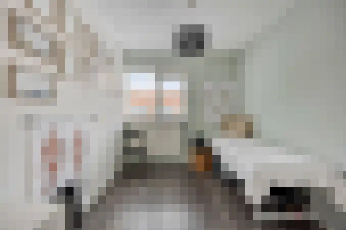 Puntmosstraat 69 Purmerend thumbnail 19