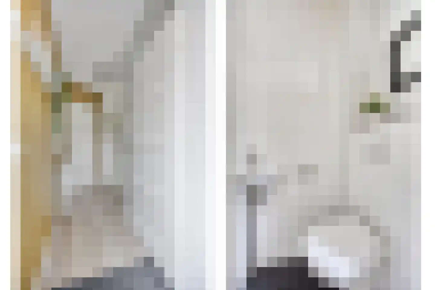 Puntmosstraat 69 Purmerend thumbnail 6