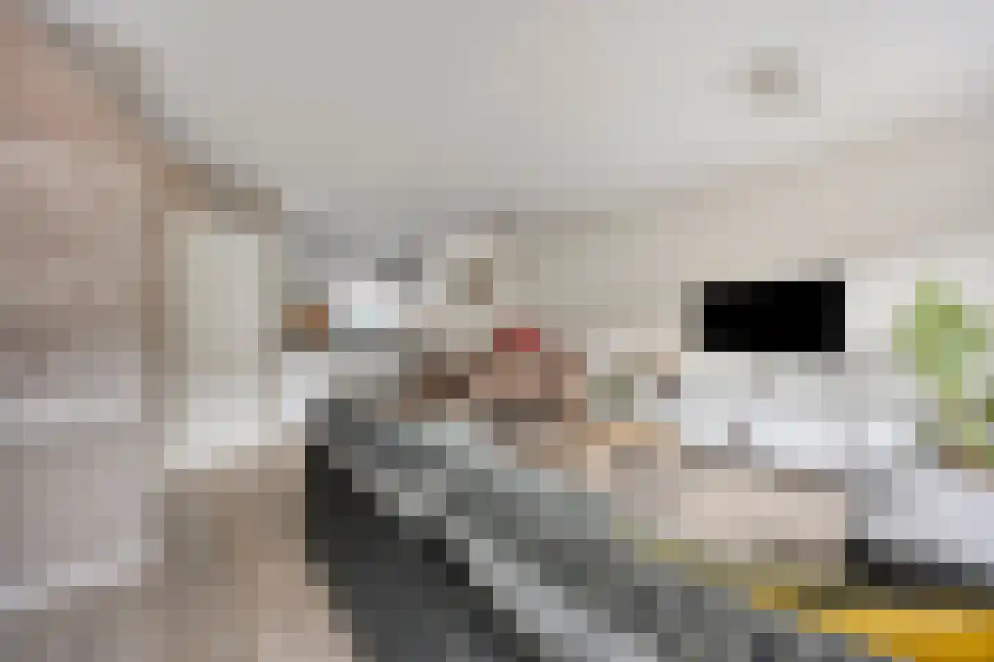 Puntmosstraat 69 Purmerend thumbnail 8