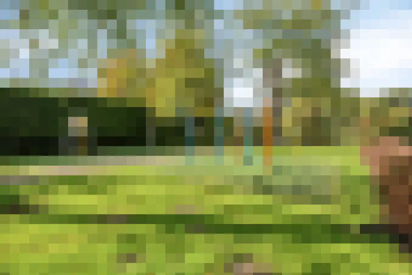 Puntmosstraat 75 Purmerend thumbnail 37