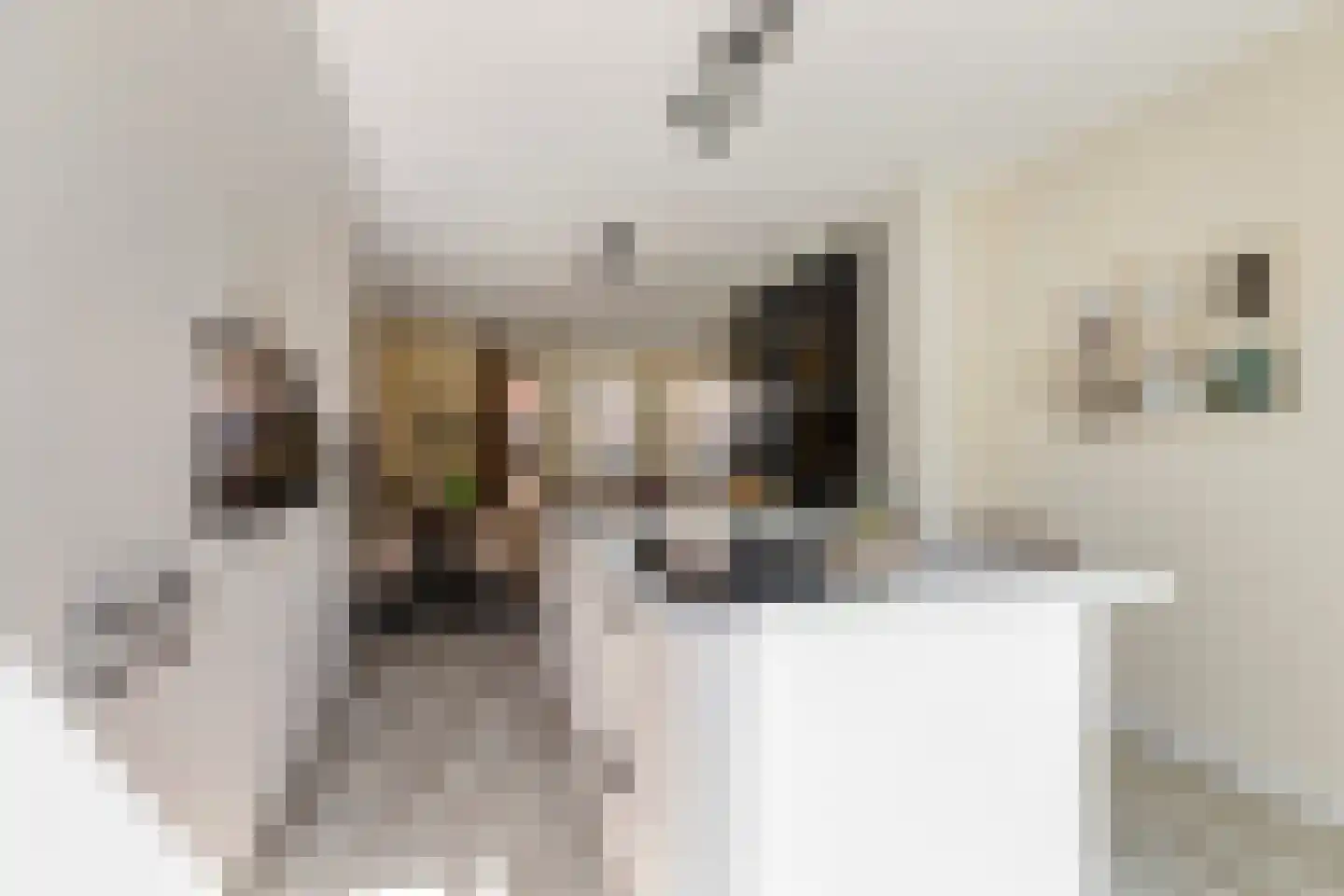 Puntstraat 22 Rotterdam thumbnail 18