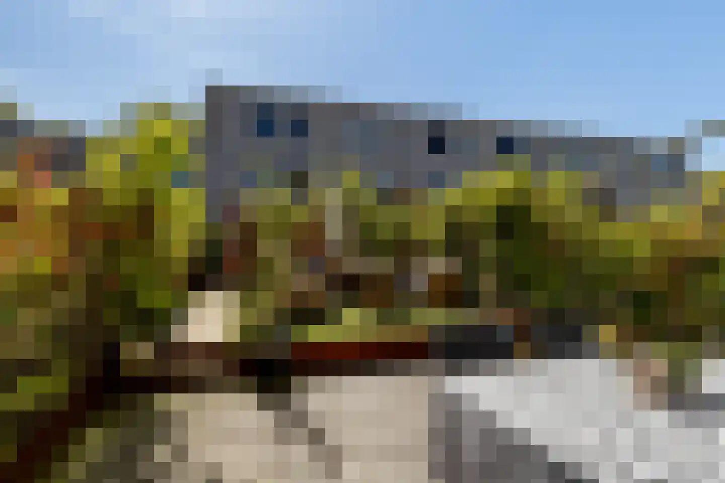Puntstraat 22 Rotterdam thumbnail 43