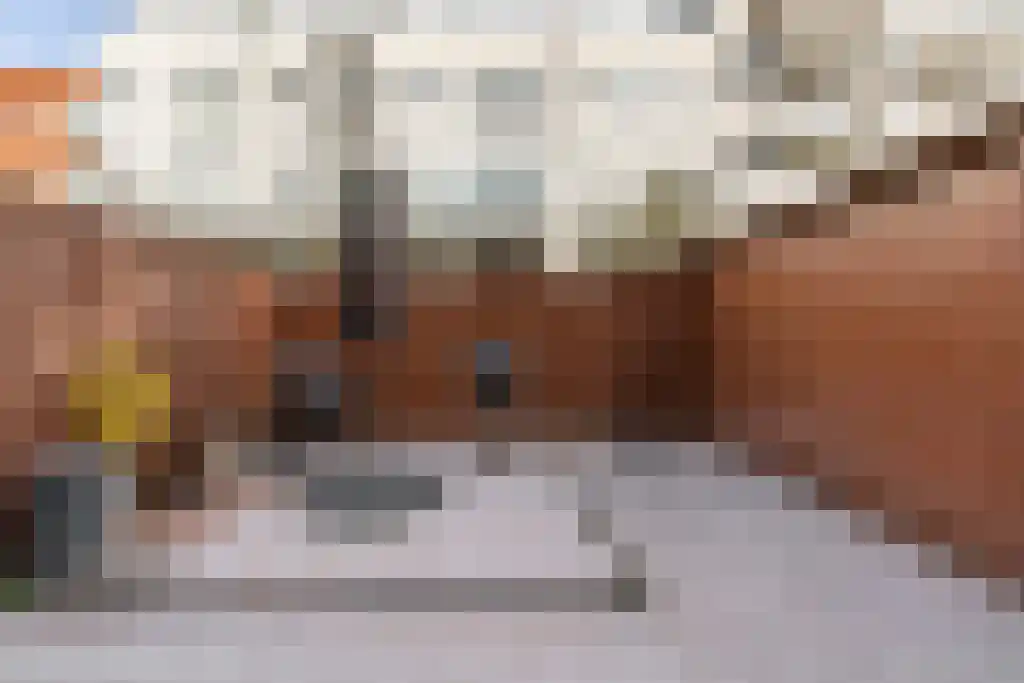 Puntstraat 53 Rotterdam thumbnail 17