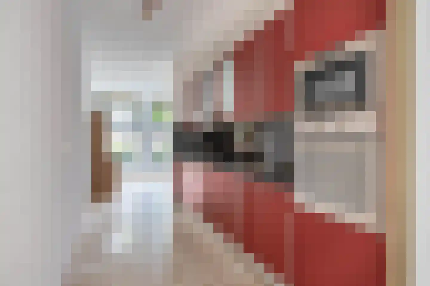 Puntstraat 59 Rotterdam thumbnail 17
