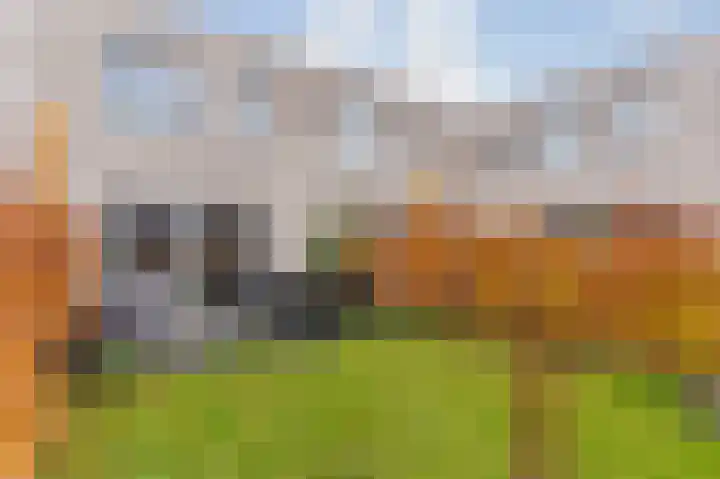 Puntstraat 6 Rotterdam thumbnail 4