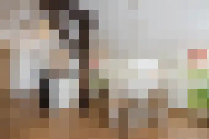 Puntweg 5 Punthorst thumbnail 12