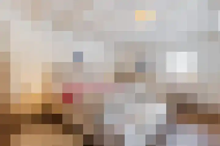 Puntweg 5 Punthorst thumbnail 22