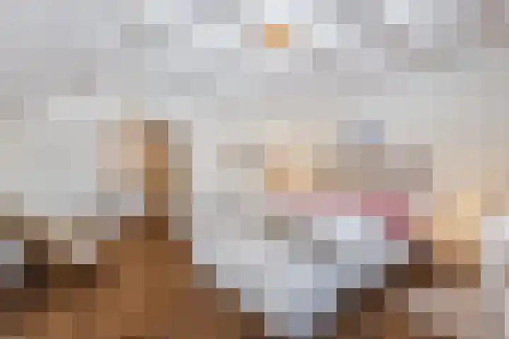 Puntweg 5 Punthorst thumbnail 24