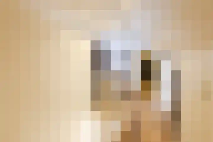 Puntweg 5 Punthorst thumbnail 29